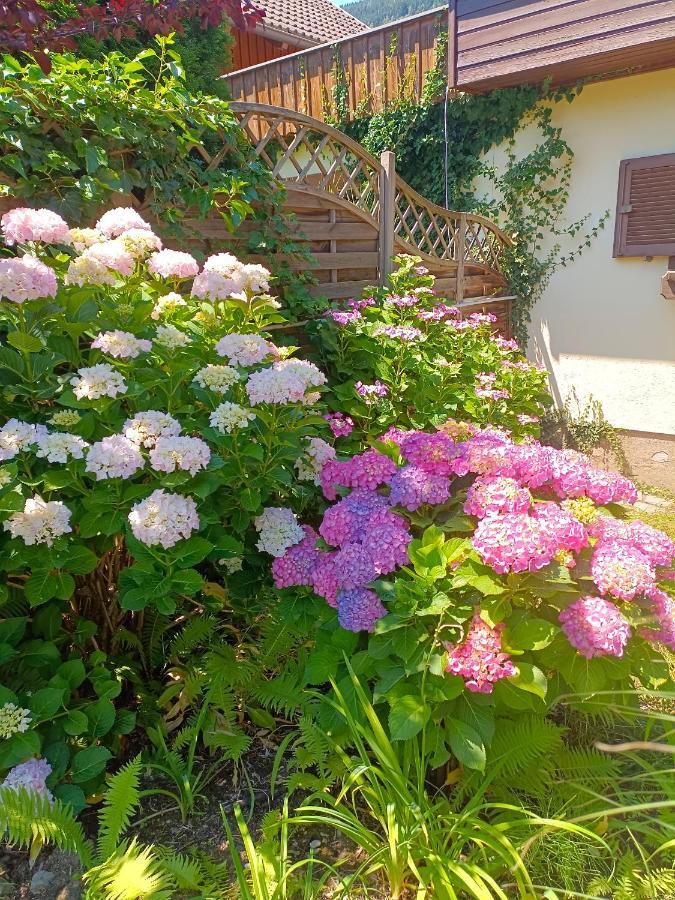 Haus Flora - Ferienwohnung Bodensdorf Buitenkant foto